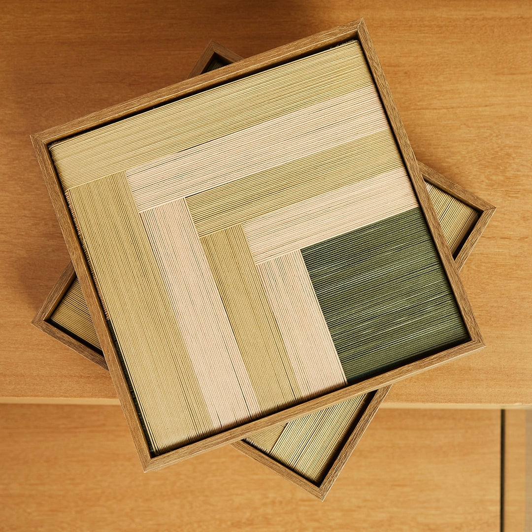 Quadro Planos Cactos